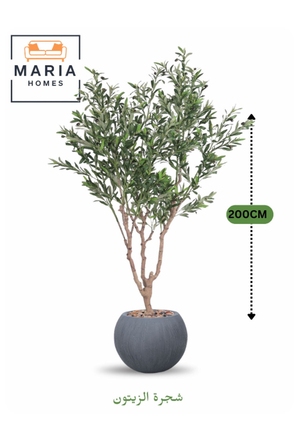 Artificial Olive Tree 200 cm Ð Green Foliage with Dark Grey Fiber Pot for home & office decor