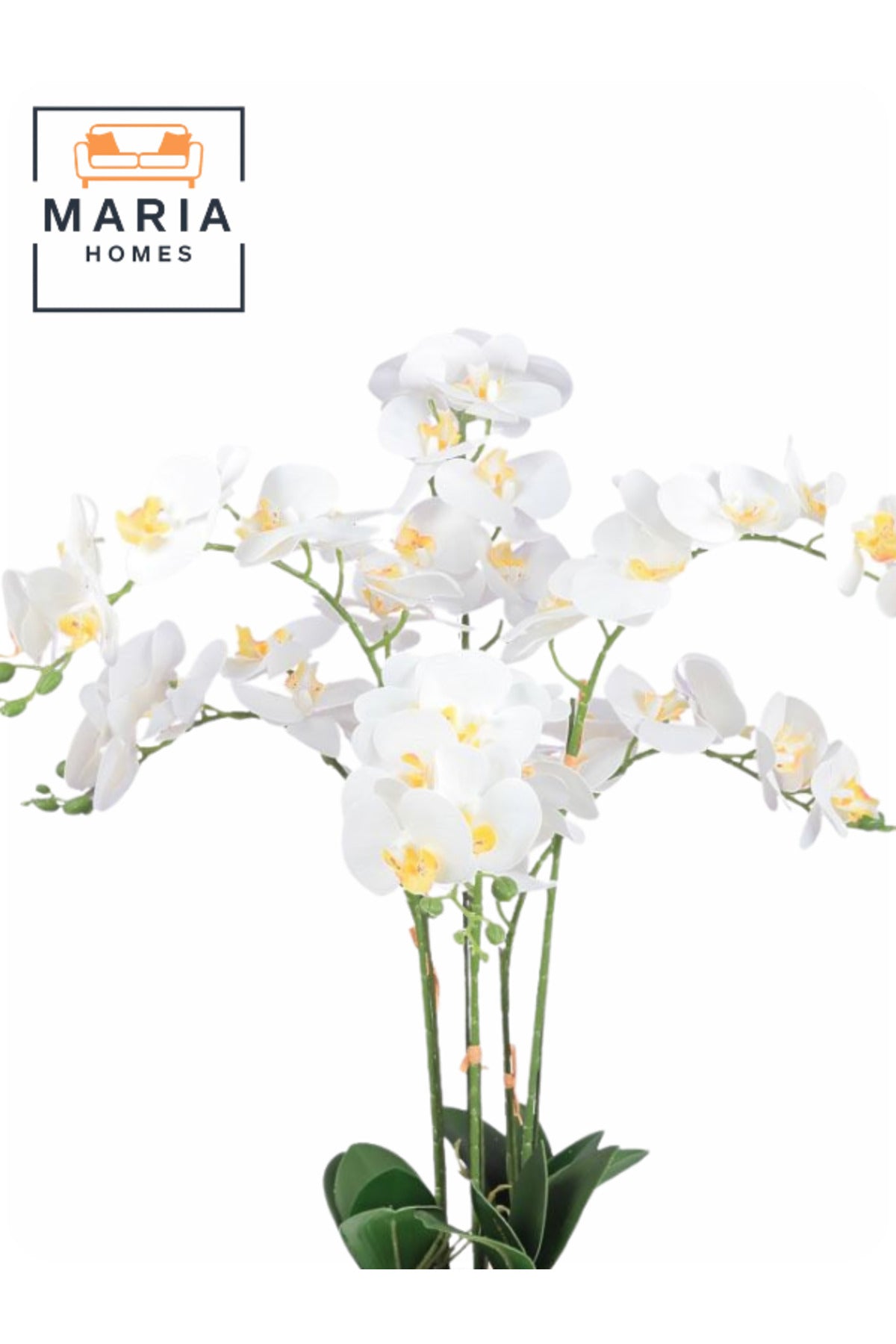 Artificial White Orchid 75 cm Ð Elegant 6-Stem Flower in Round Plastic Pot