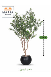 Artificial Olive Tree 200 cm Indoor Decorative Plant with Black Plastic Pot for Home & Office decor